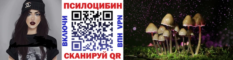 хочу кракен зеркало Псилоцибиновые грибы Magic Shrooms Нижнекамск